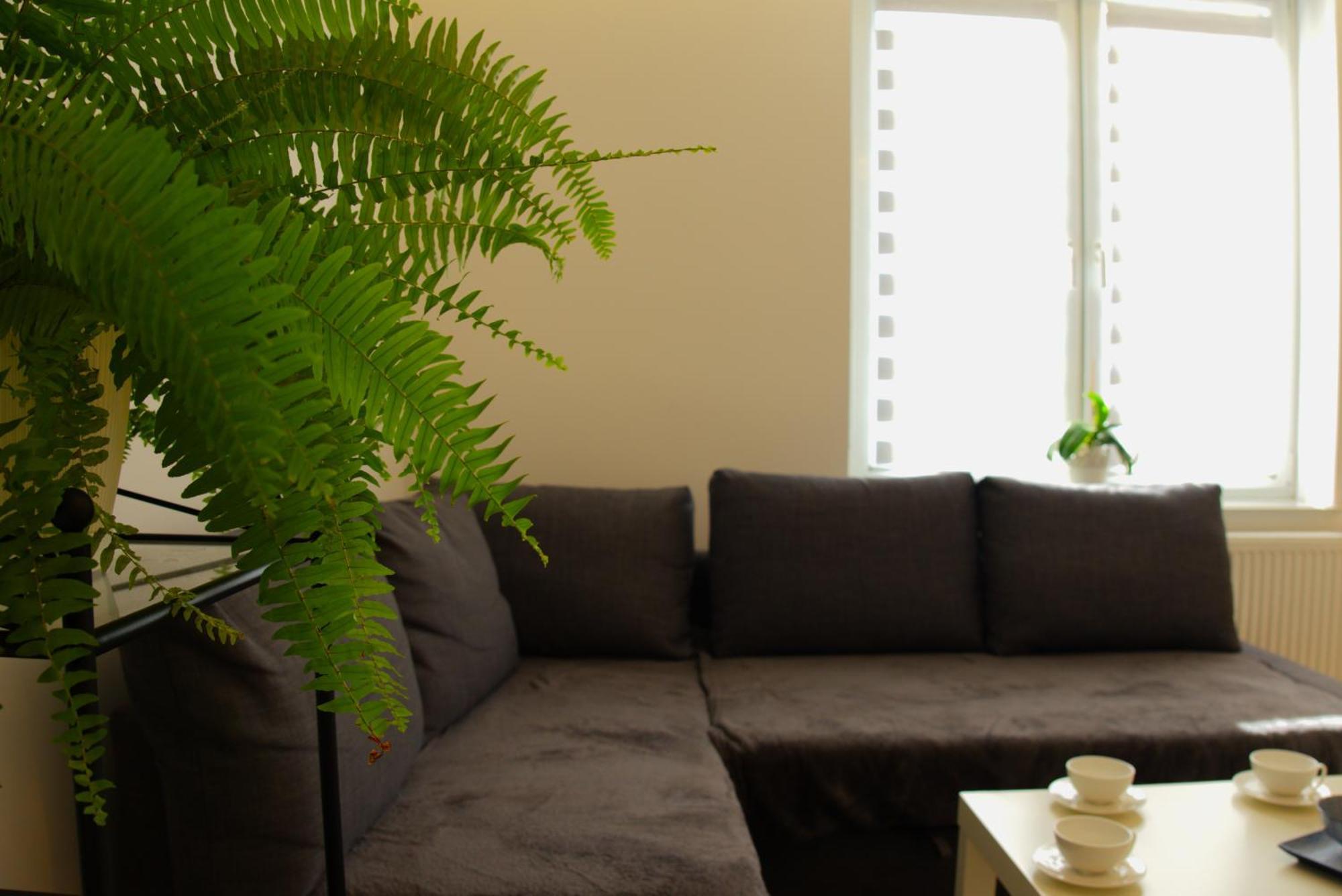 Apartament Centrum Rynek Boleslawiec  Ngoại thất bức ảnh